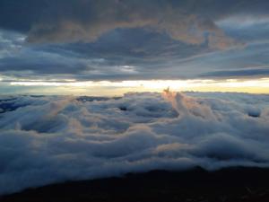 fujisan 028