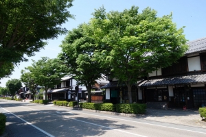 fukui shiga 095