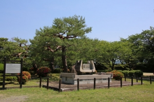 fukui shiga 100