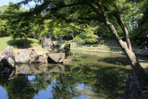 fukui shiga 107