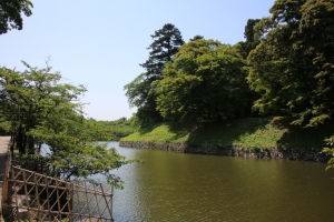 fukui shiga 113
