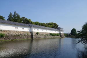 fukui shiga 116