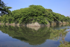 fukui shiga 118
