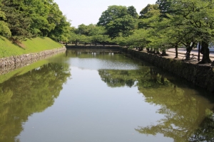 fukui shiga 119
