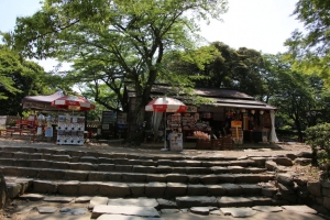 fukui shiga 126