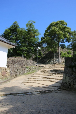 fukui shiga 129