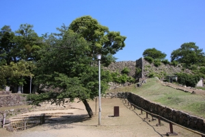 fukui shiga 130