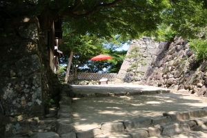 fukui shiga 131