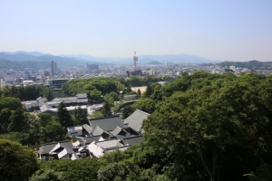 fukui shiga 146