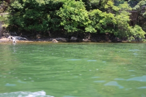 fukui shiga 014