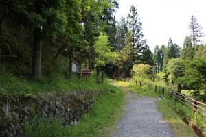 fukui shiga 035