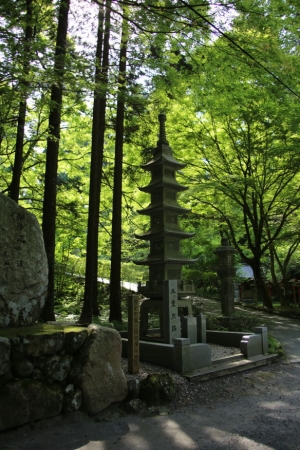 fukui shiga 043