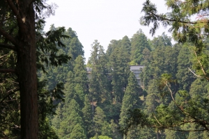 fukui shiga 065