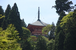 fukui shiga 067