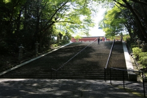fukui shiga 083