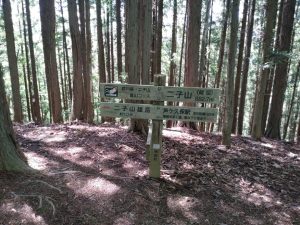 横瀬二子山（１／２）
