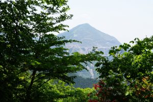 futago 037
