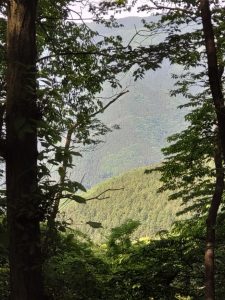 futago 049