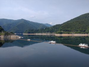 gozen 007