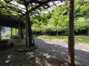 gozen 010