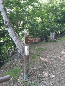 gozen 011