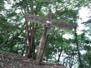 gozen 013
