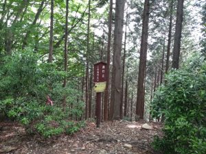 gozen 021