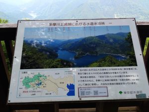 gozen 030