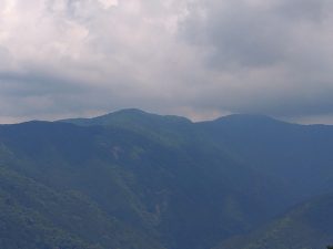 gozen 032