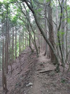 gozen 034