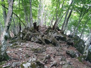 gozen 039
