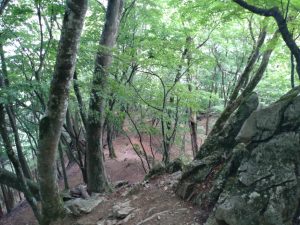 gozen 042