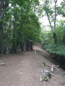 gozen 045