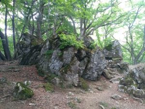 gozen 048