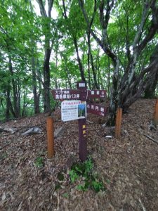 gozen 055