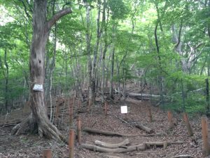 gozen 058
