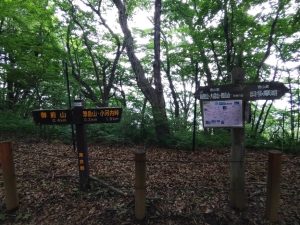 gozen 059