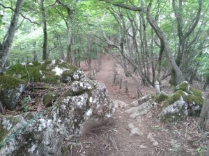 gozen 064