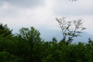 gozen 066