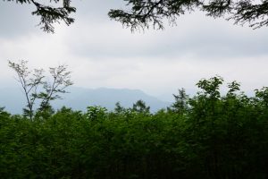 gozen 067