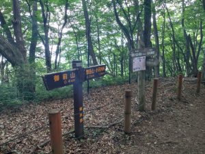 gozen 074