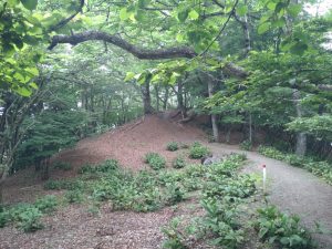 gozen 079