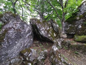 gozen 080