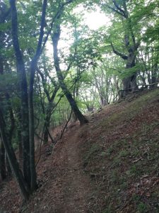 gozen 083