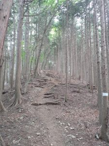 gozen 096