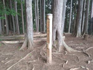 gozen 098