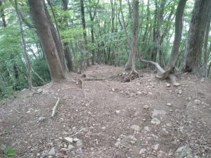 gozen 115