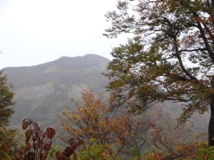 hakkaisan 008