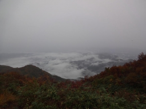 hakkaisan 027