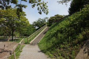 hakodate  101